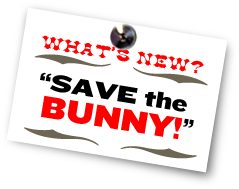 What's New - Save The Bunny
